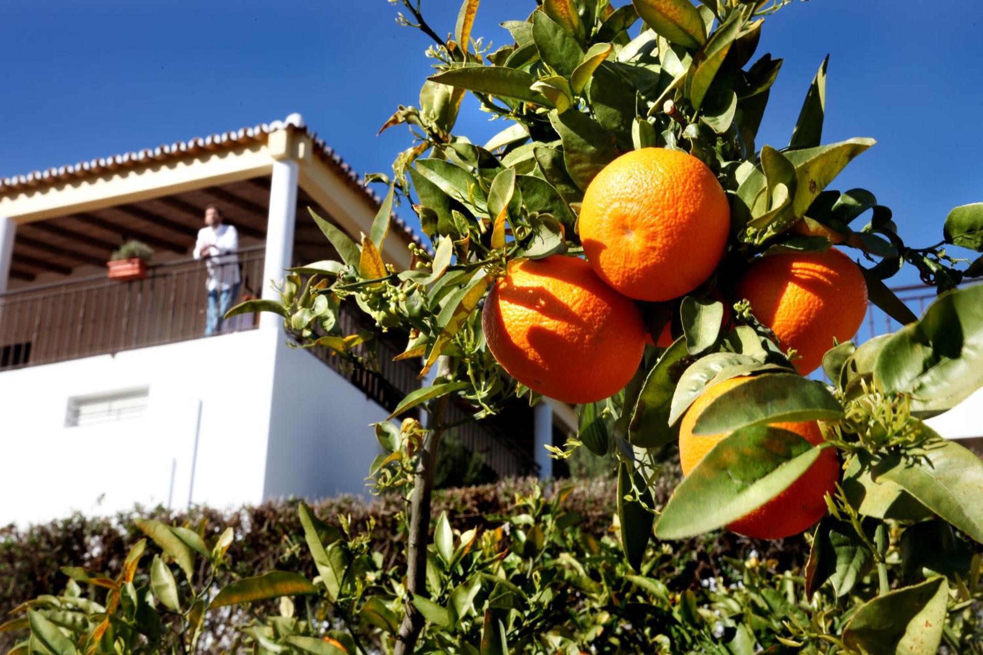Herdade Da Corte Tavira Exterior foto